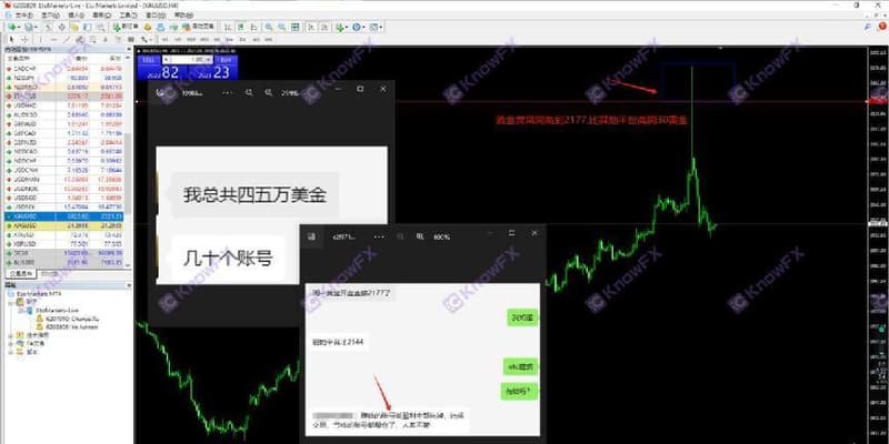 图片12