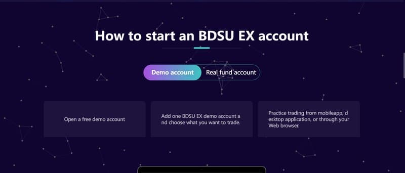 BDSU EX's Account Types