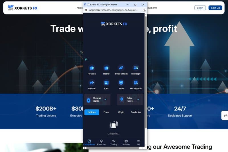 Similarity with Xorkets FX