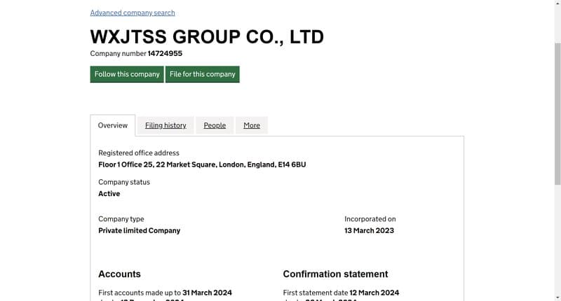 WXJTSS Group UK Company House 스크린샷