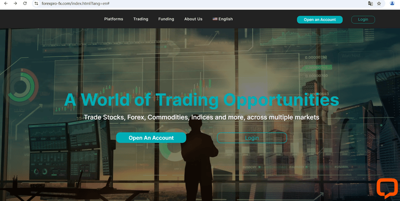 FOREX 網頁設計圖