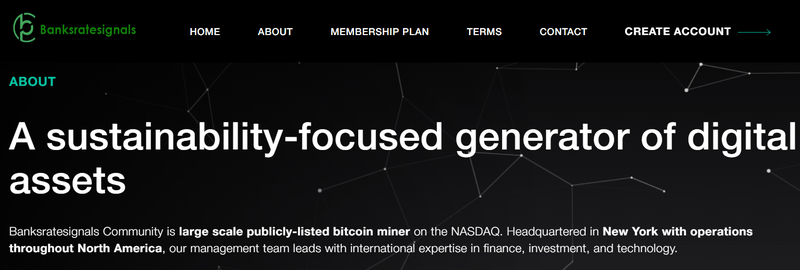 Company Background