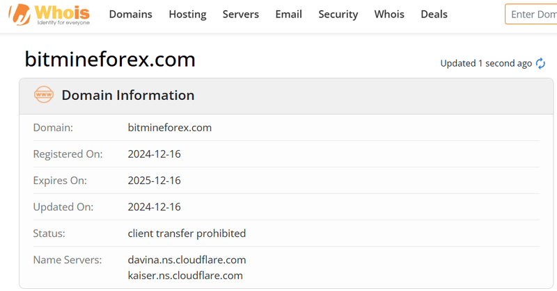Результат запроса Whois