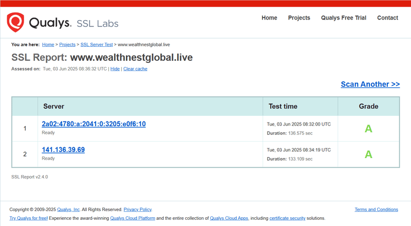Qualys Query Result