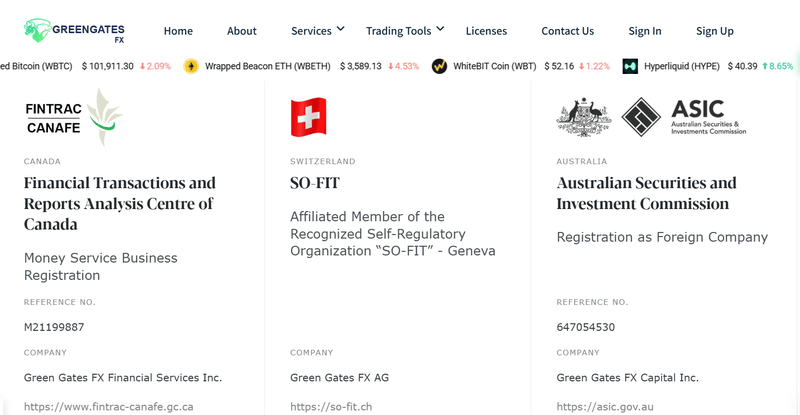 Tuyên bố về giám sát của trang web