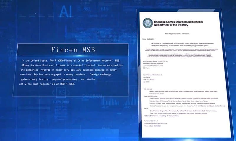MSB license from NKVO's website video