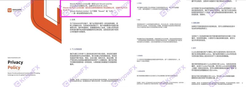 图片11