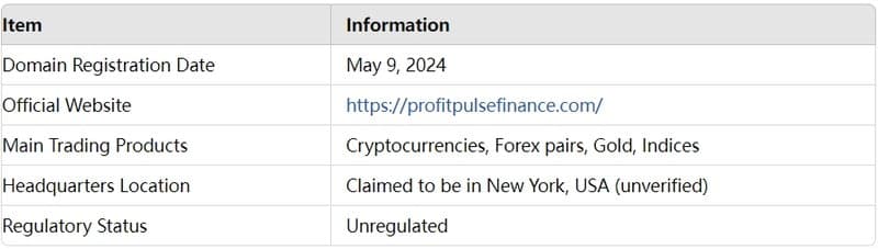Basic Information about Profit Pulse Finance