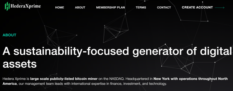 Company Background