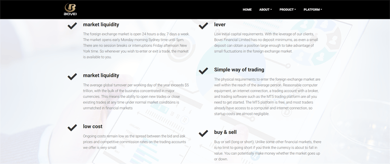 Bovei Financial Limited