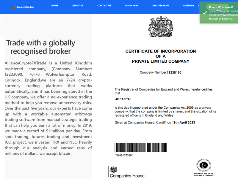 官网展示的英国实体注册信息