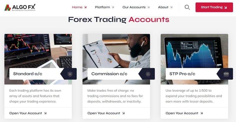 Типы аккаунтов в AlgoFX