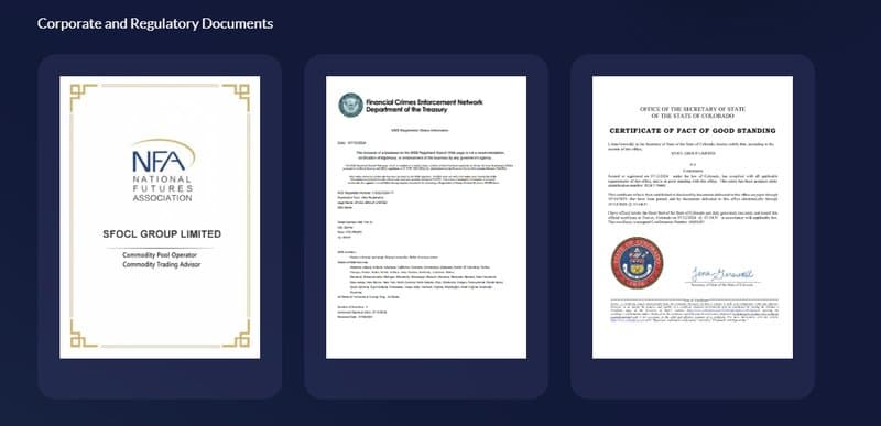SFOCL官網上的公司及監管文件板塊