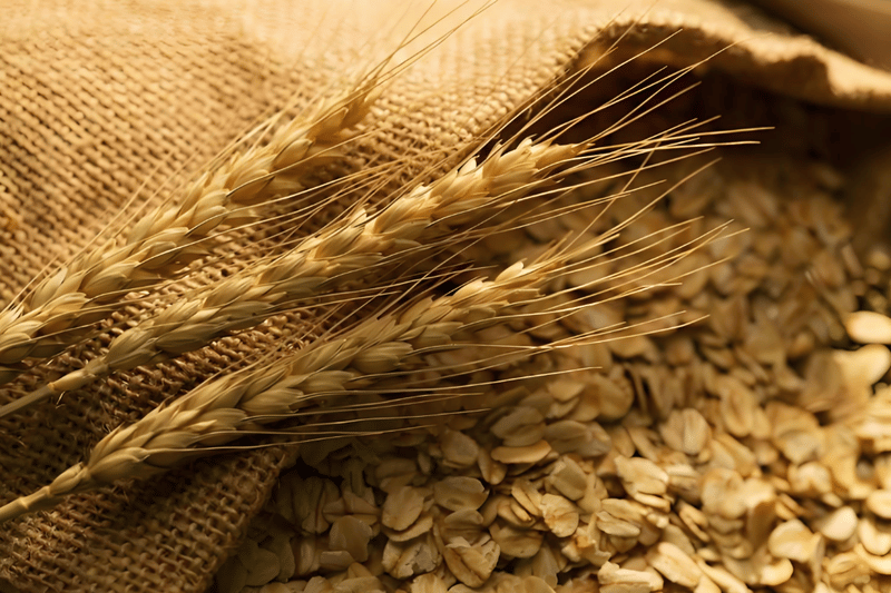 2025.3.5 Grains
