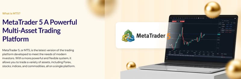 trading platform