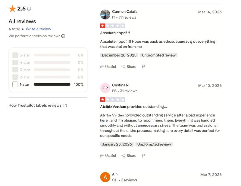 User Reviews