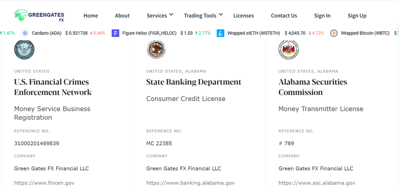 Tuyên bố về giám sát của trang web