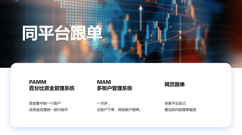 Same-platform Copy Trading_011.png