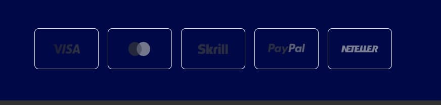 payment methods of Trade Pulse