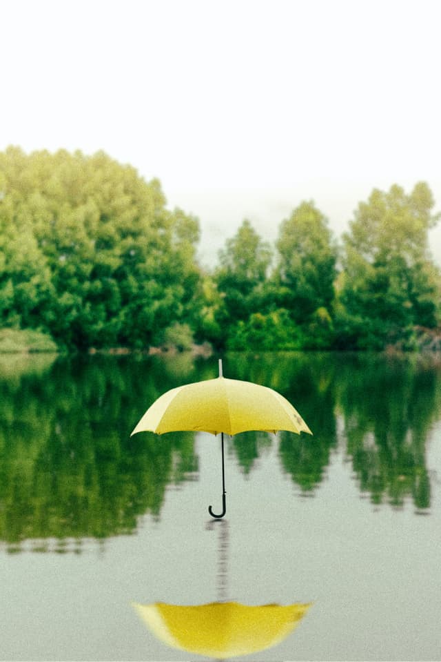 What is an Umbrella Line? Some issues we need to pay attention to regarding the Umbrella Line.