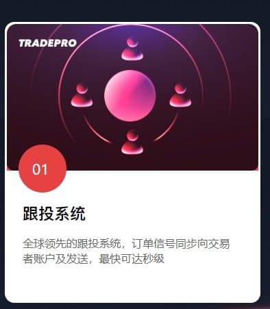 Tongseng Chain Ecological Community  Copy Trading System