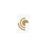 Stellar Pioneer Incorporated
